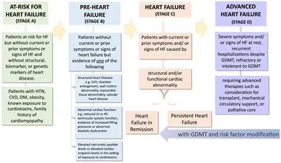 Emirates consensus recommendations on cardiovascular risk management in type 2 diabetes